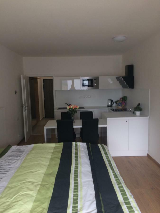 Apartman Dara 伏尔塔瓦河畔利普诺 外观 照片